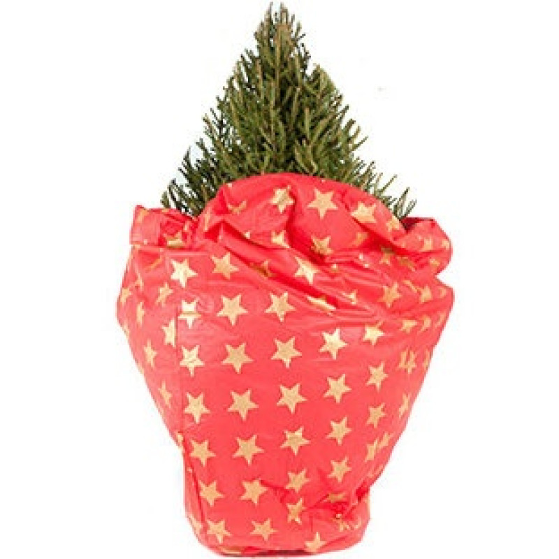 Коврик мешок для Ёлки (Высота: до 2 м)