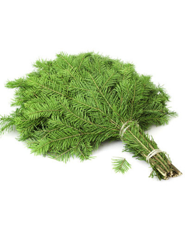 Пихтовый лапник