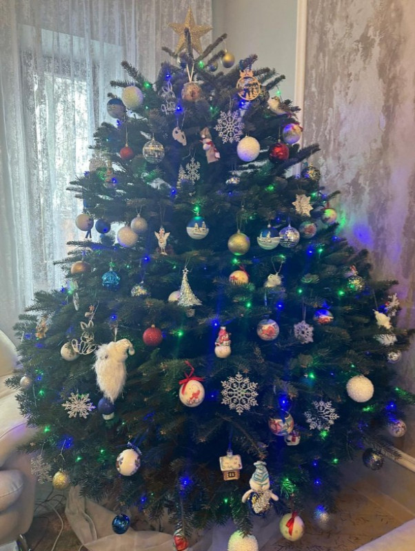 Пихта Нордмана — Датская (срез) (Высота: 1—1,25 м)