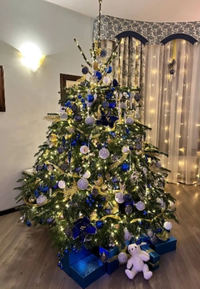 Пихта Нордмана — Датская (срез) (Высота: 1—1,25 м)