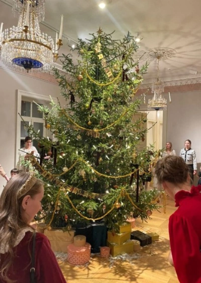 Ёлка Русская — Классическая Лесная (срез) (Высота: 1,75—2,0 м)