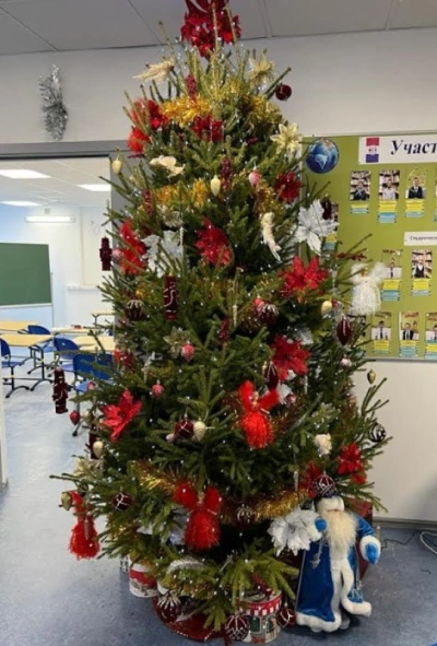 Ель Удмуртская — Лесная Пышная (срез) (Высота: 1—1,25 м)