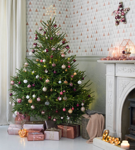 ЁЛКА РУССКАЯ (СРЕЗ) ЁЛКА РУССКАЯ (СРЕЗ)