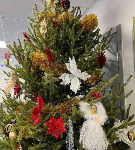 ЕЛЬ УДМУРТСКАЯ (СРЕЗ) ЕЛЬ УДМУРТСКАЯ (СРЕЗ)