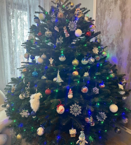 Пихта Нордмана — Датская (срез) Пихта Нордмана — Датская (срез)